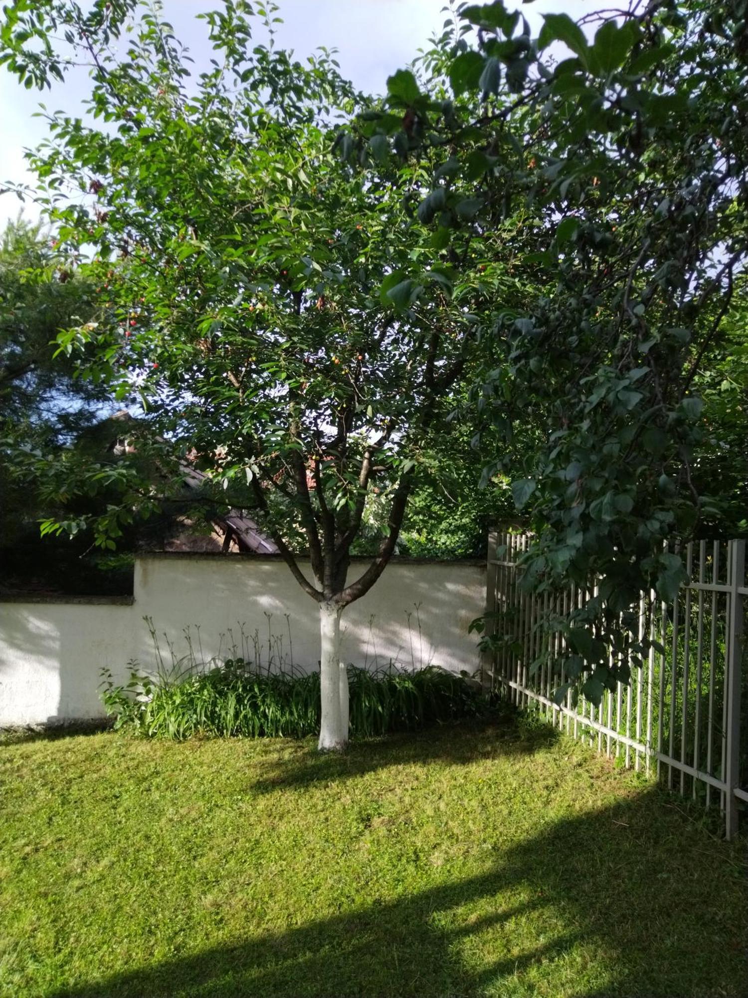 202 Apartment *
