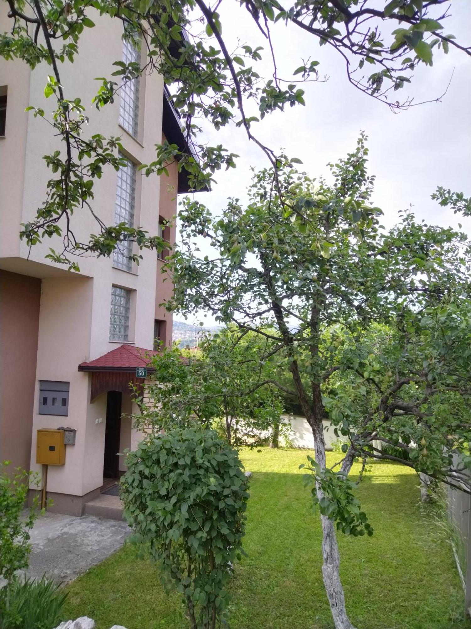Apartment 202 *